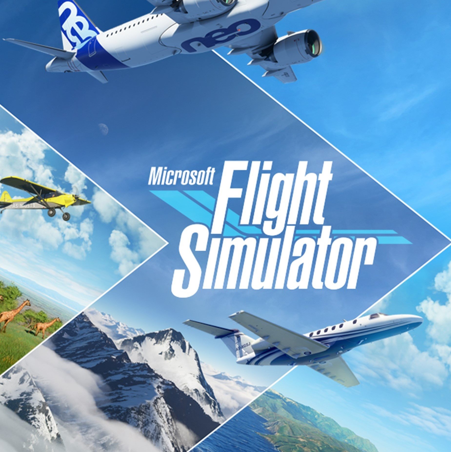 Microsoft Flight Simulator 2020: Everything We Know ...