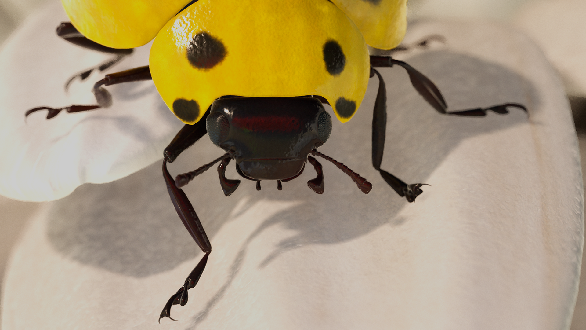 scorpio-ladybug-zoomed.png