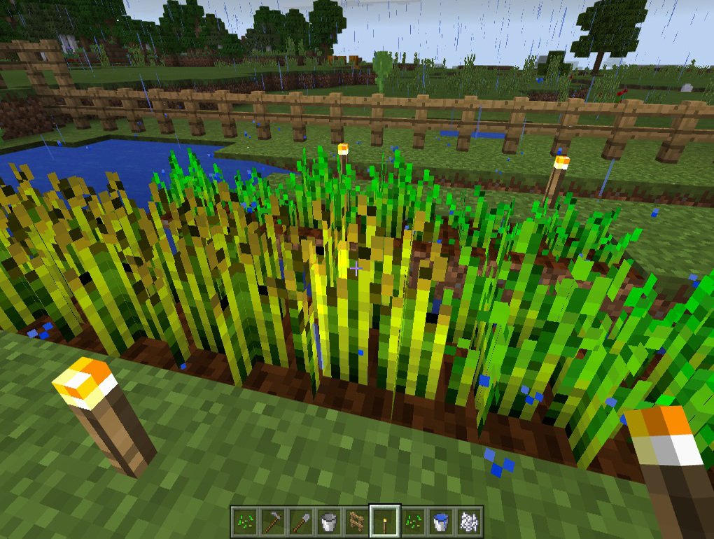 How to create a sustainable farm in Minecraft: Windows 10 Edition
