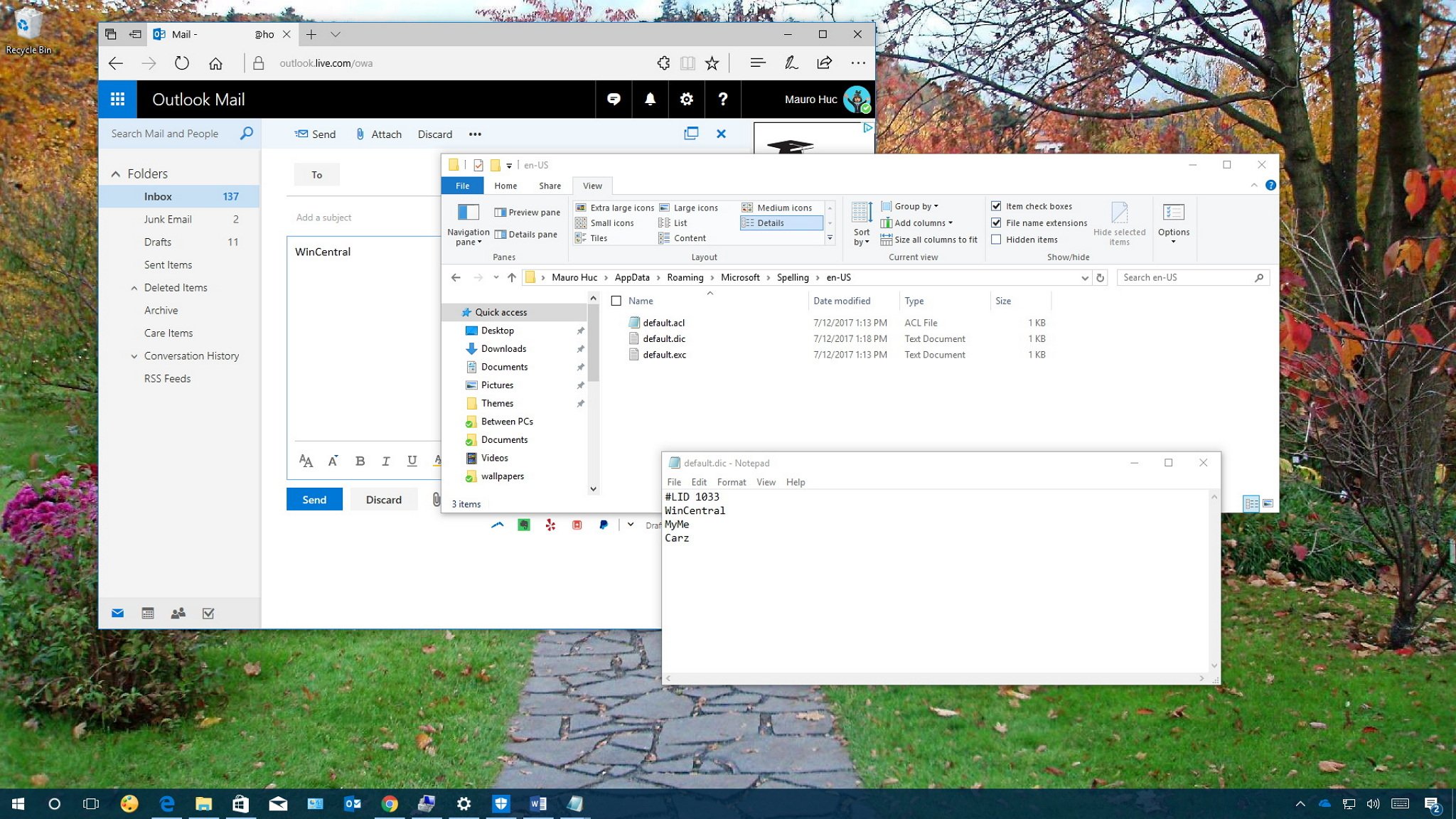 How To Edit The Custom Spell Check Dictionary On Windows 10