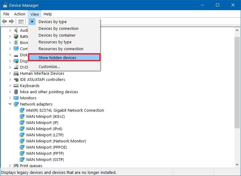Device Manager show hidden devices
