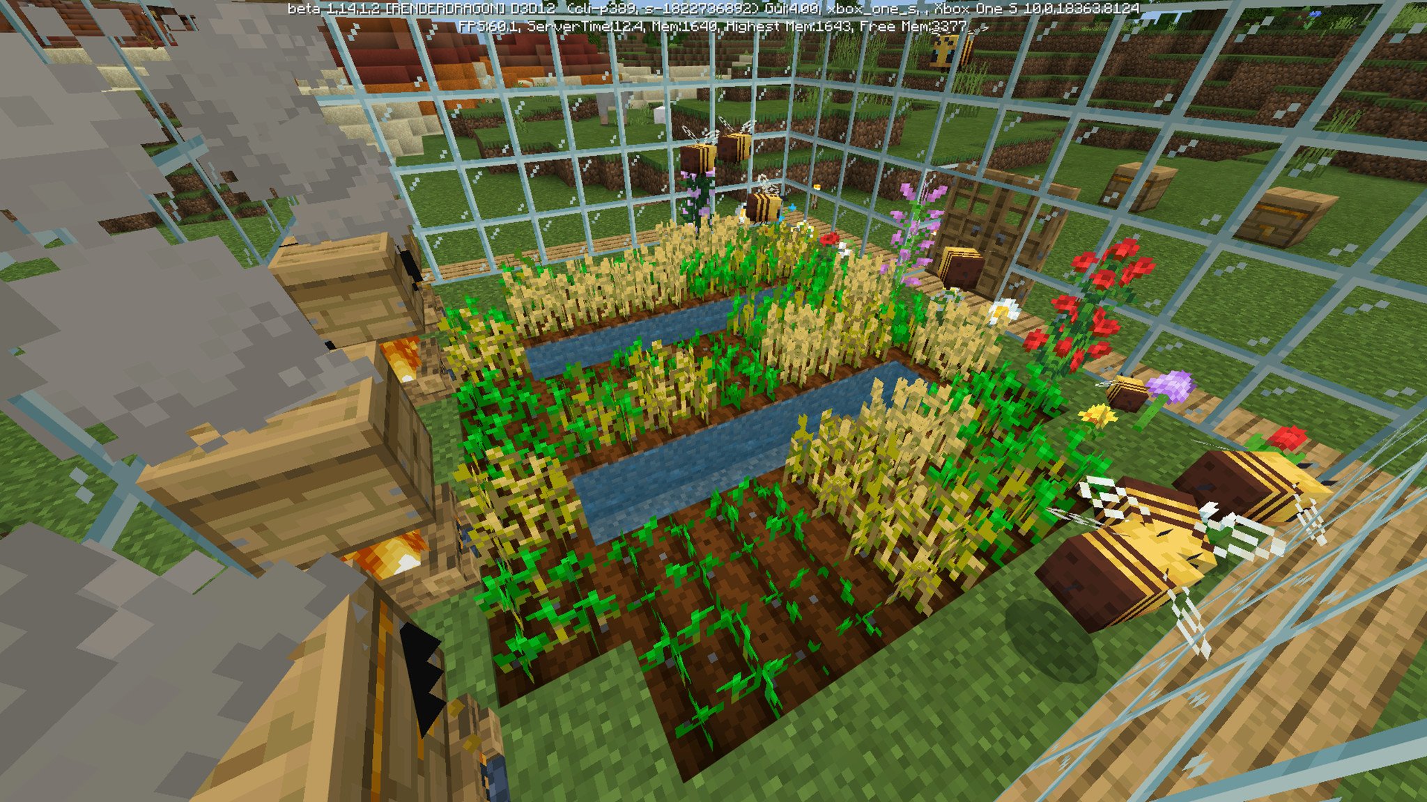 My bee farm from a different angle