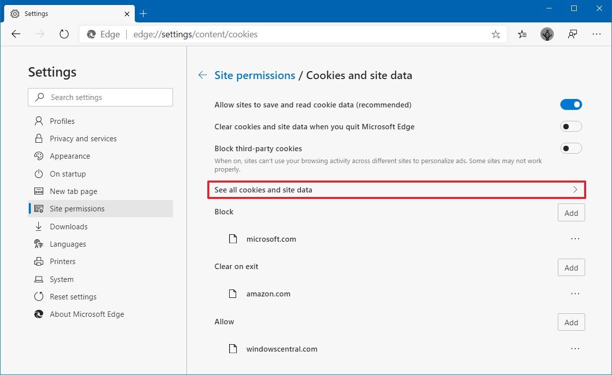 Microsoft Edge see cookies and site data option