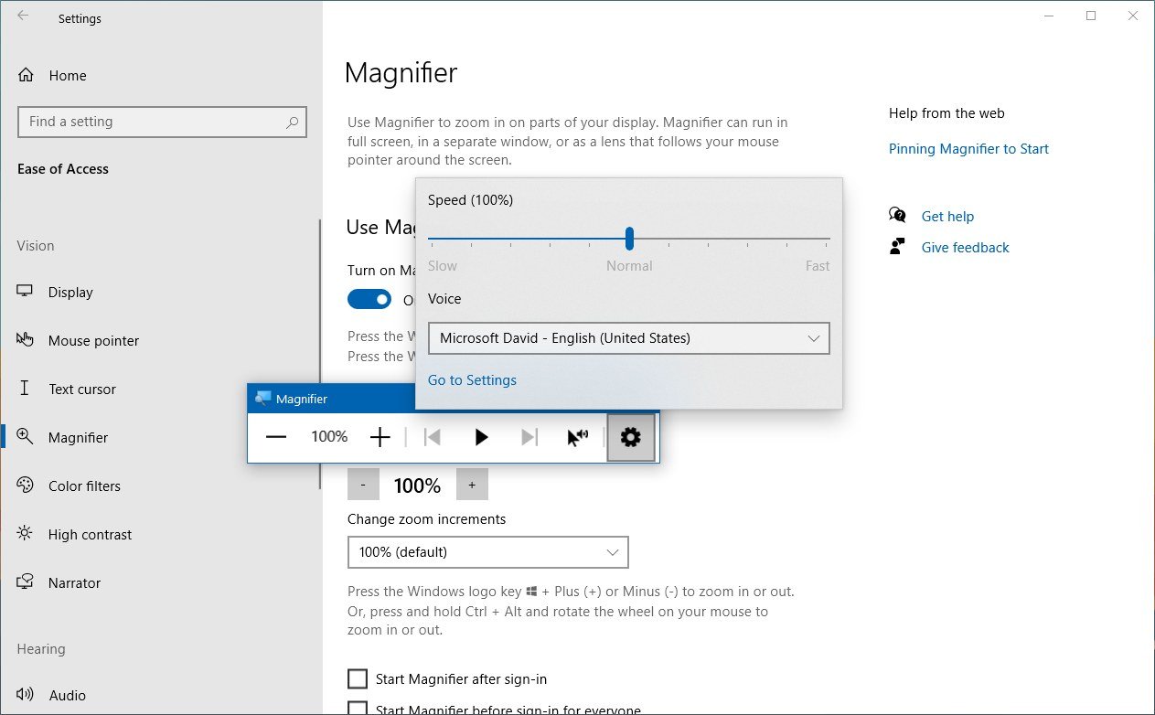 Windows 10 Magnifier interface on version 2004