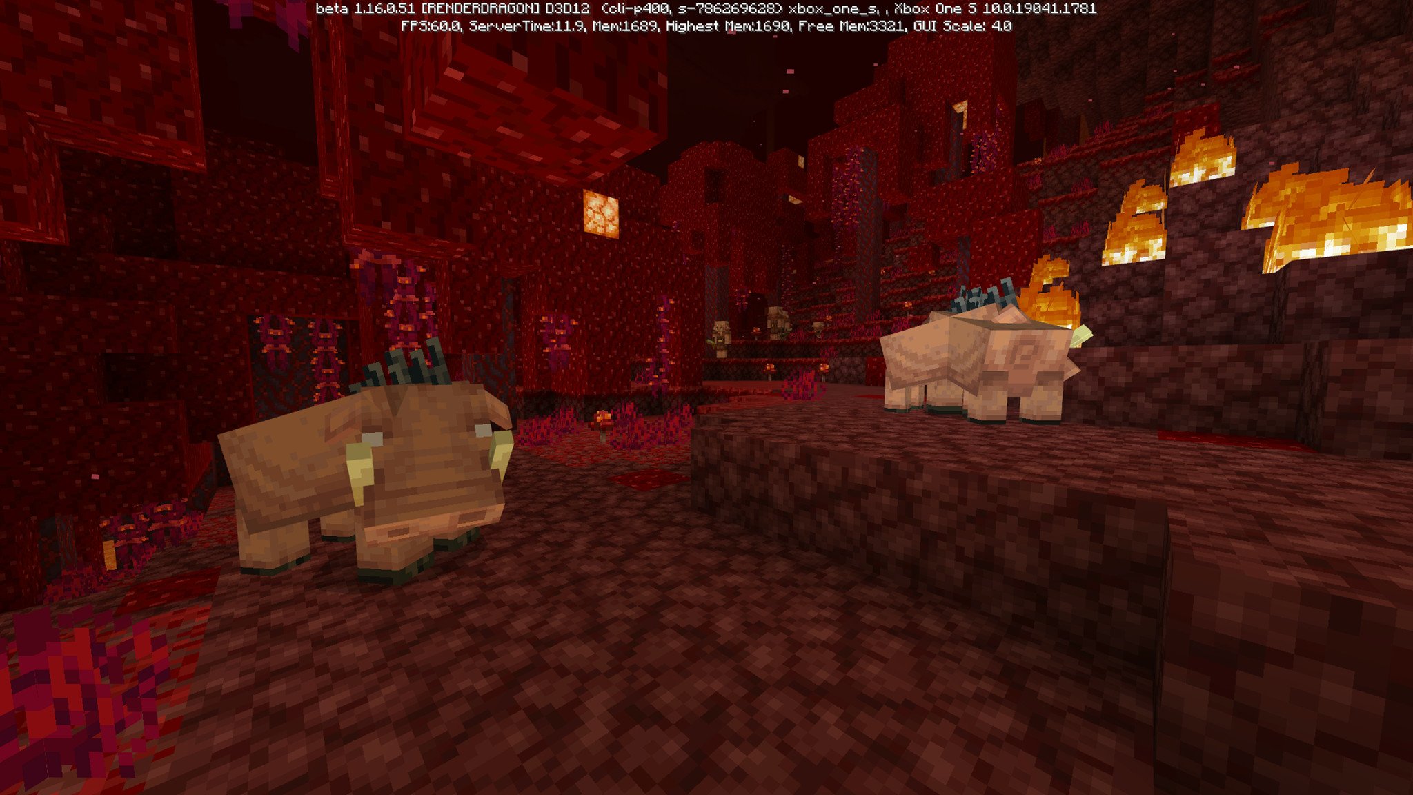 Featured image of post Nether Background