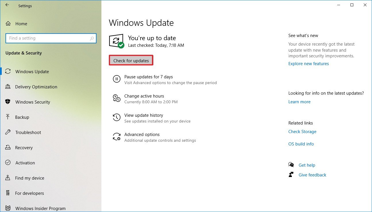 Windows 10 check for updates option