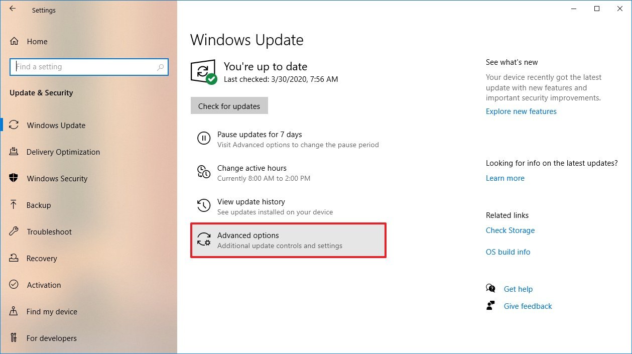 Windows Update Advanced options button