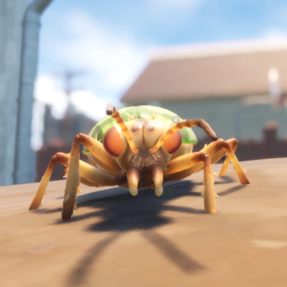 Grounded Bombadier Beetle