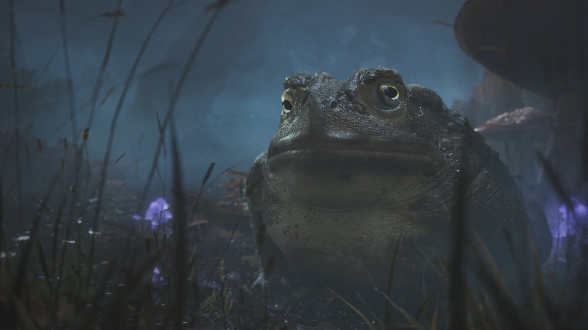 Fable 2020 Toad