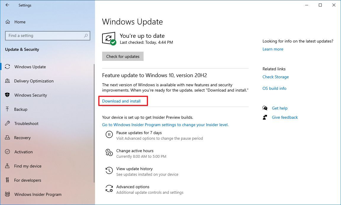 Windows 10 version 20H2 download