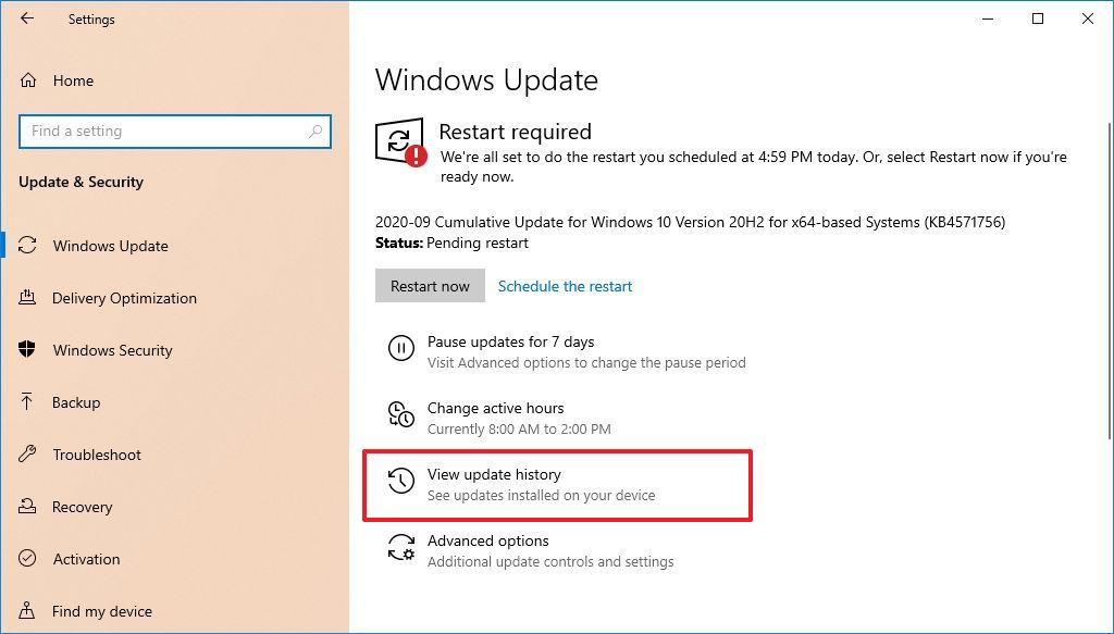 Windows Update History Option