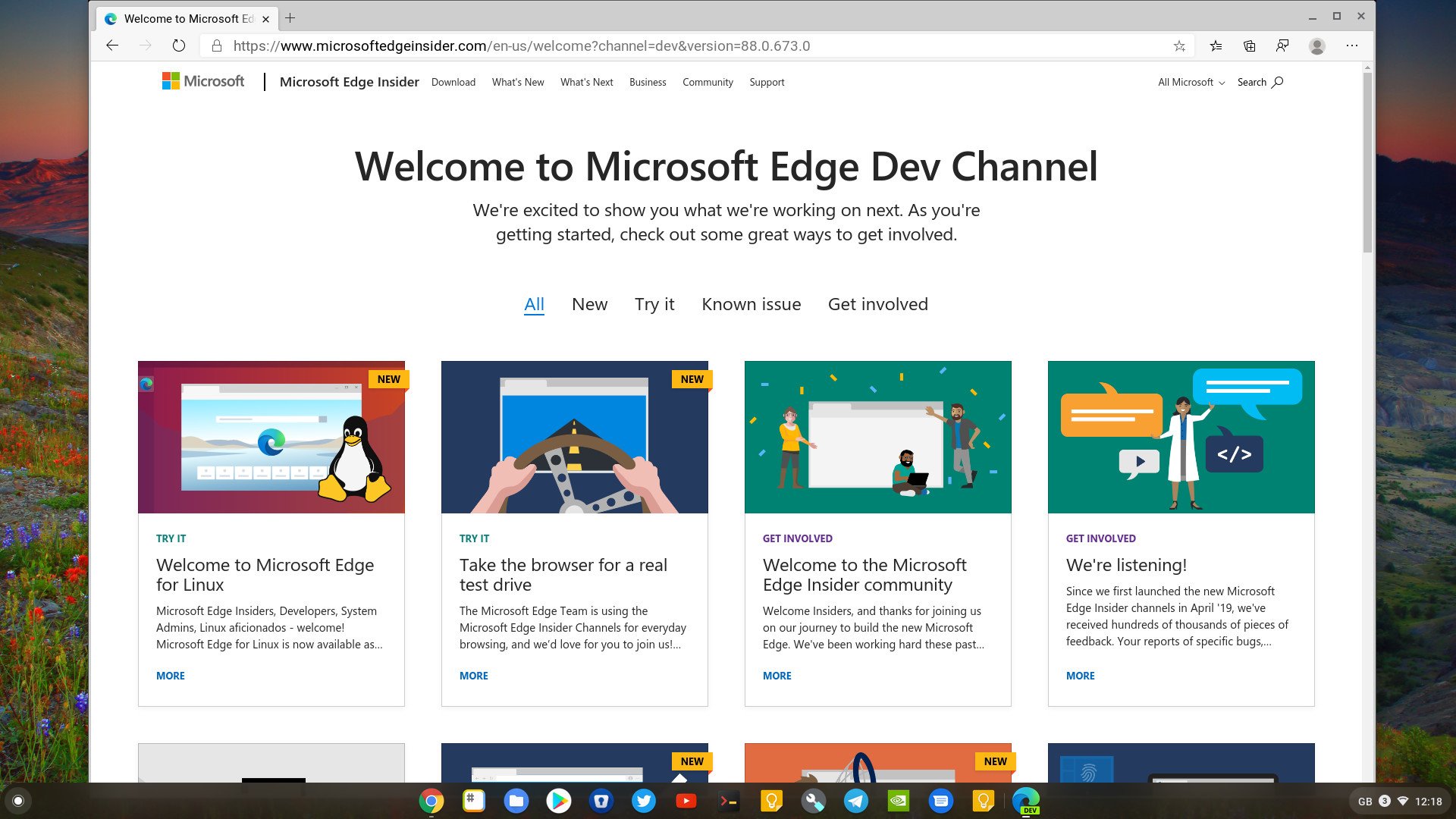 How to install Microsoft Edge on a Chromebook | Windows Central