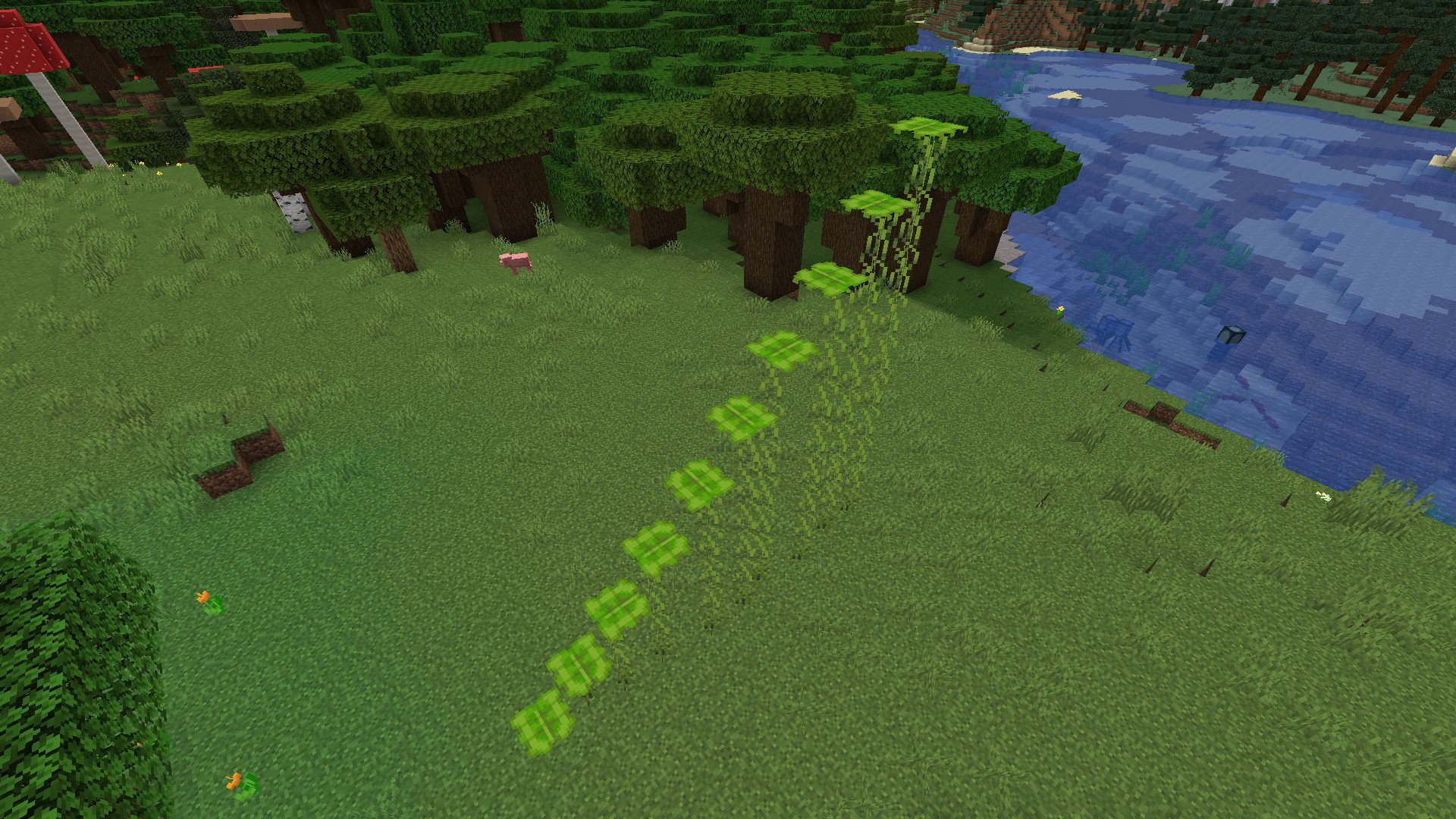 Minecraft Caves And Cliffs Update Leaf Platform