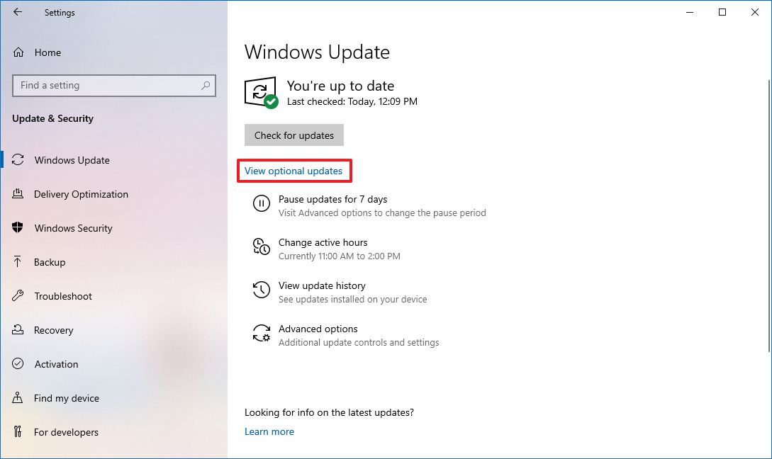 Windows 10 optional updates option for drivers