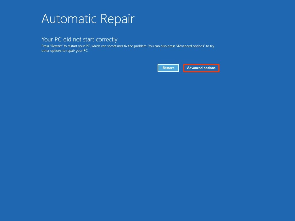 Automatic Repair Advanced Options 