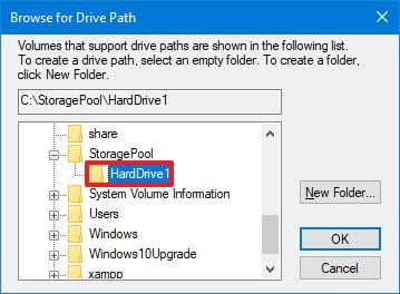Disk Management wizard select drive path 