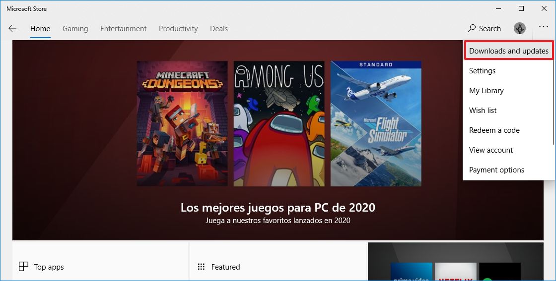 Microsoft Store downloads and updates option