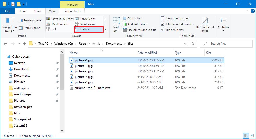 File Explorer details option