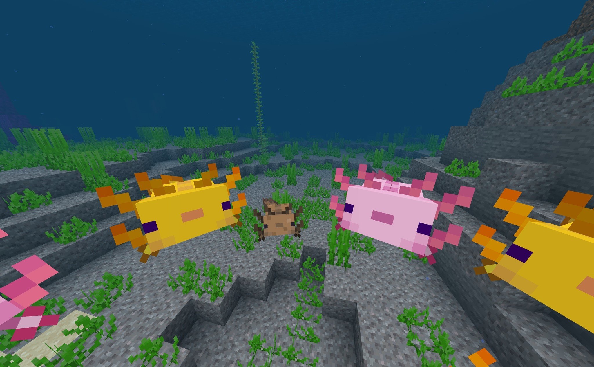 Minecraft Caves And Cliffs Update Axolotl