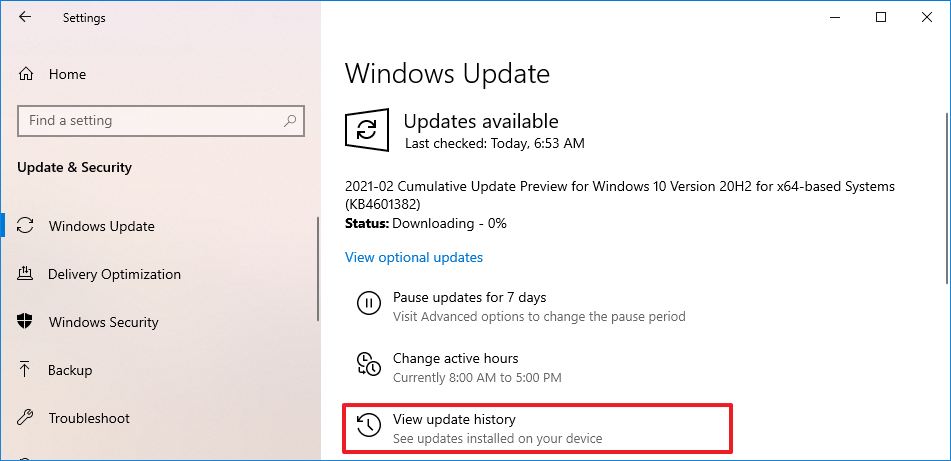 Windows 10 view update history