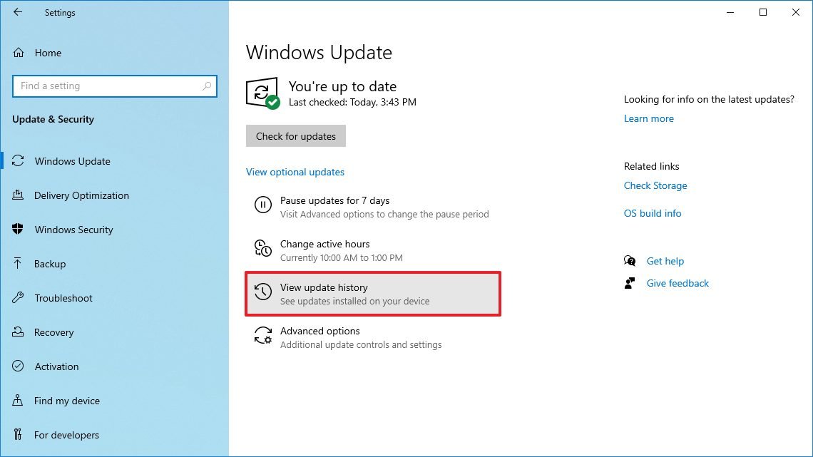Windows Update view update history option