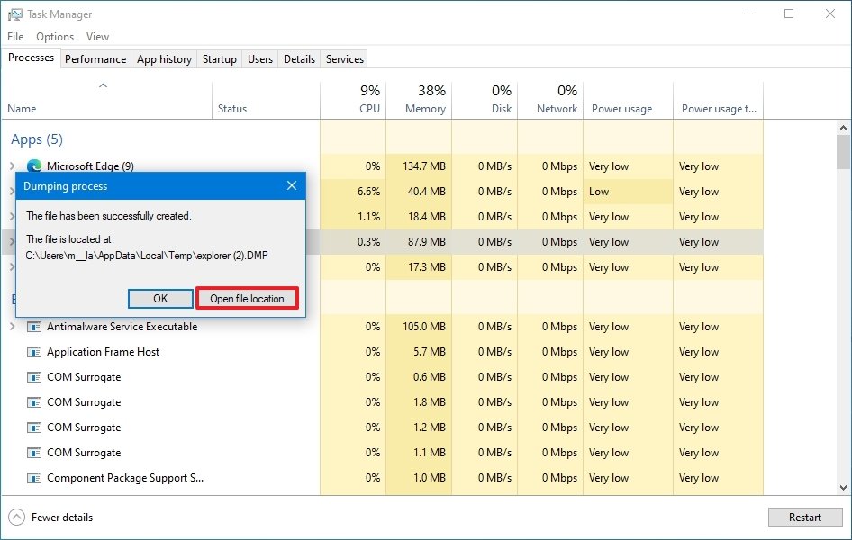 Task Manager dumping process