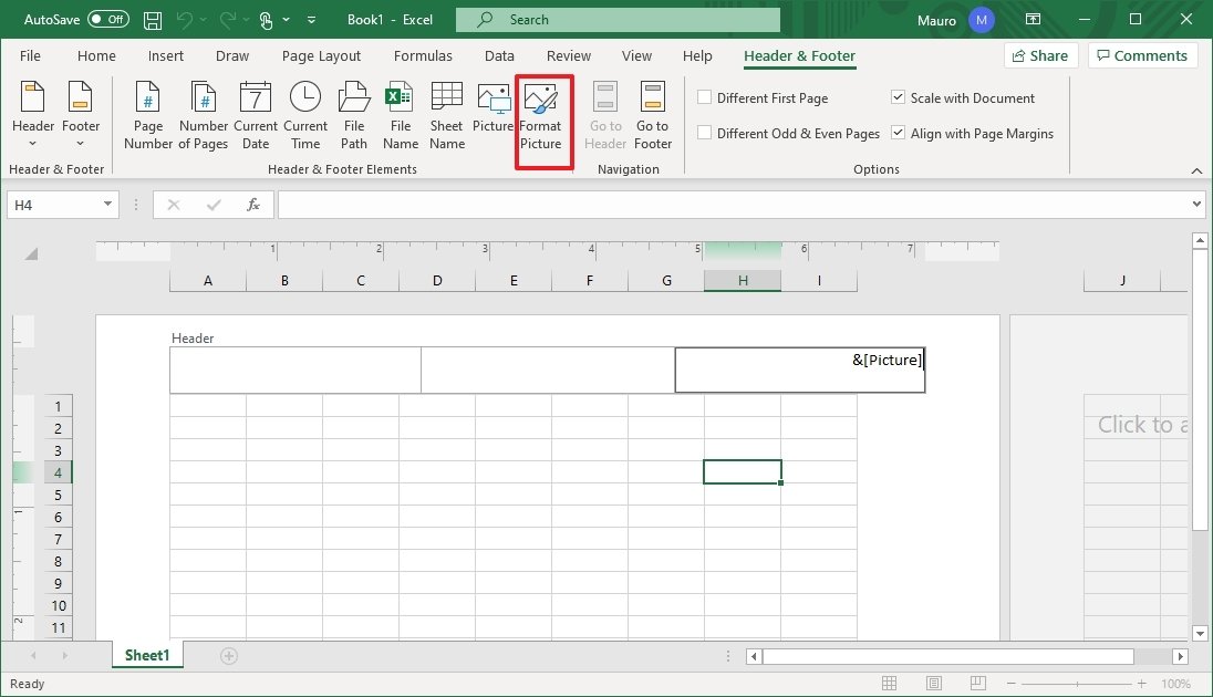 Botão de imagem no formato Excel