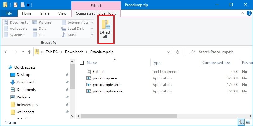 ProcDump extract folder