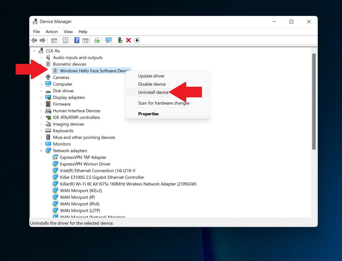 Device Manager Windows Hello