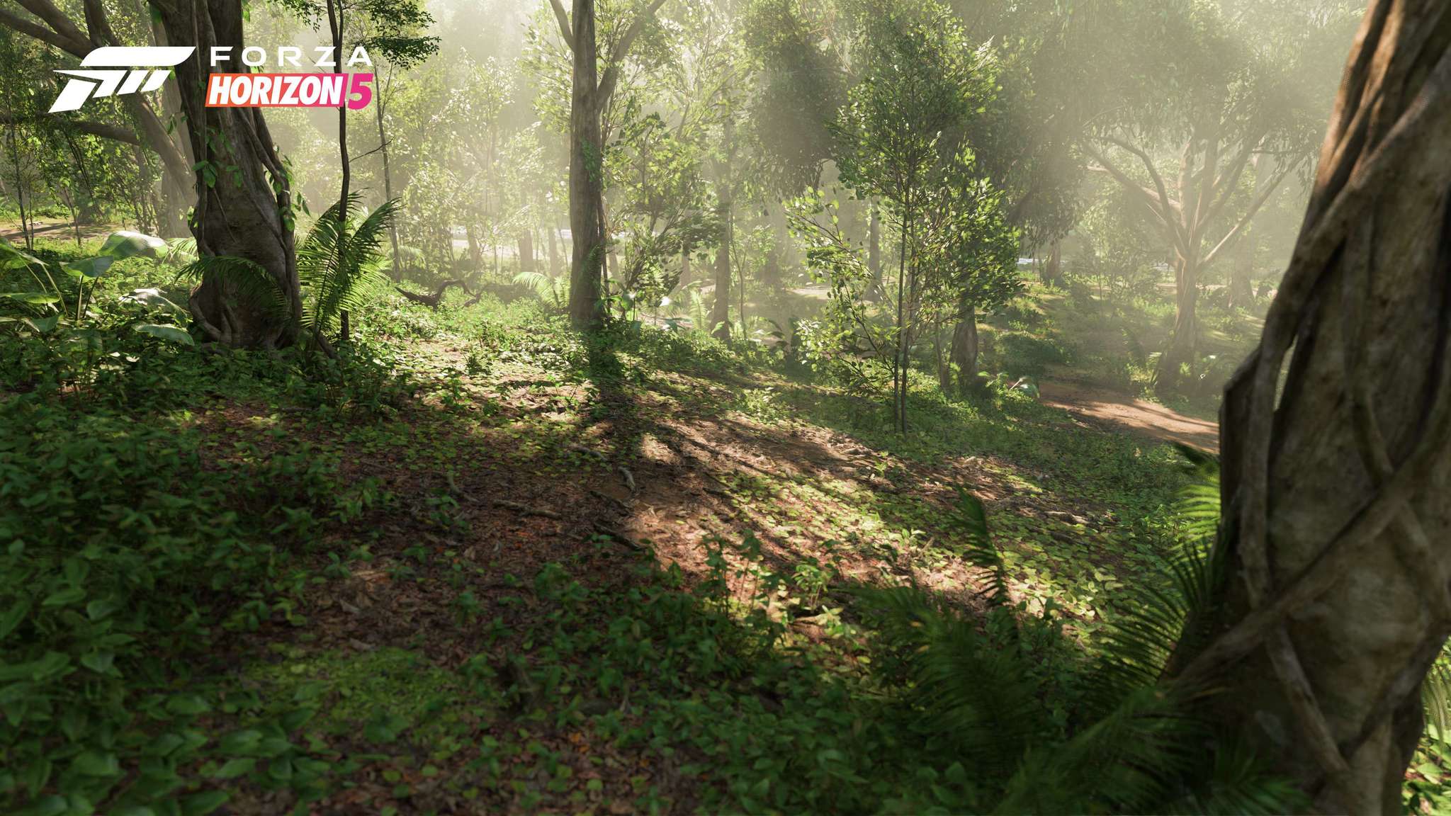 Forza Horizon 5 Biome Screenshot Jungle