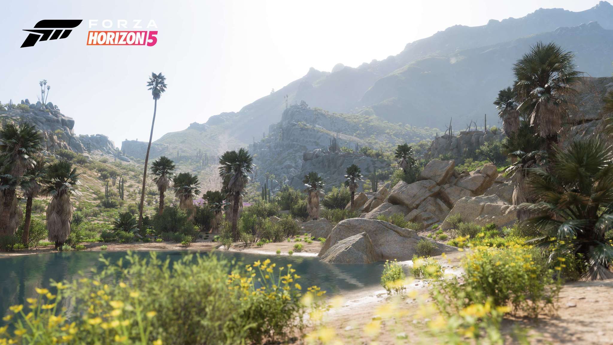 Forza Horizon 5 Biome Screenshot Living Desert