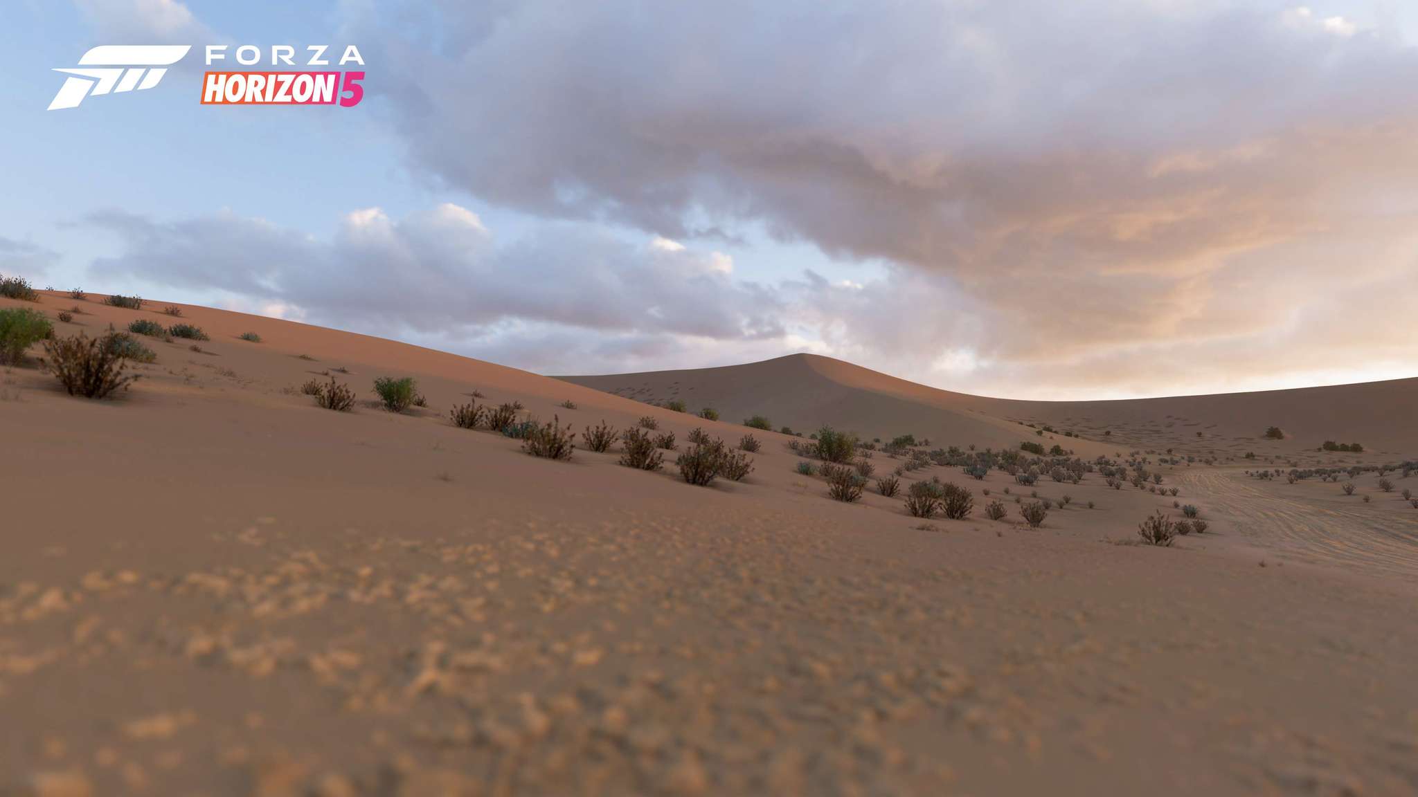 Forza Horizon 5 Biome Screenshot Sand Desert