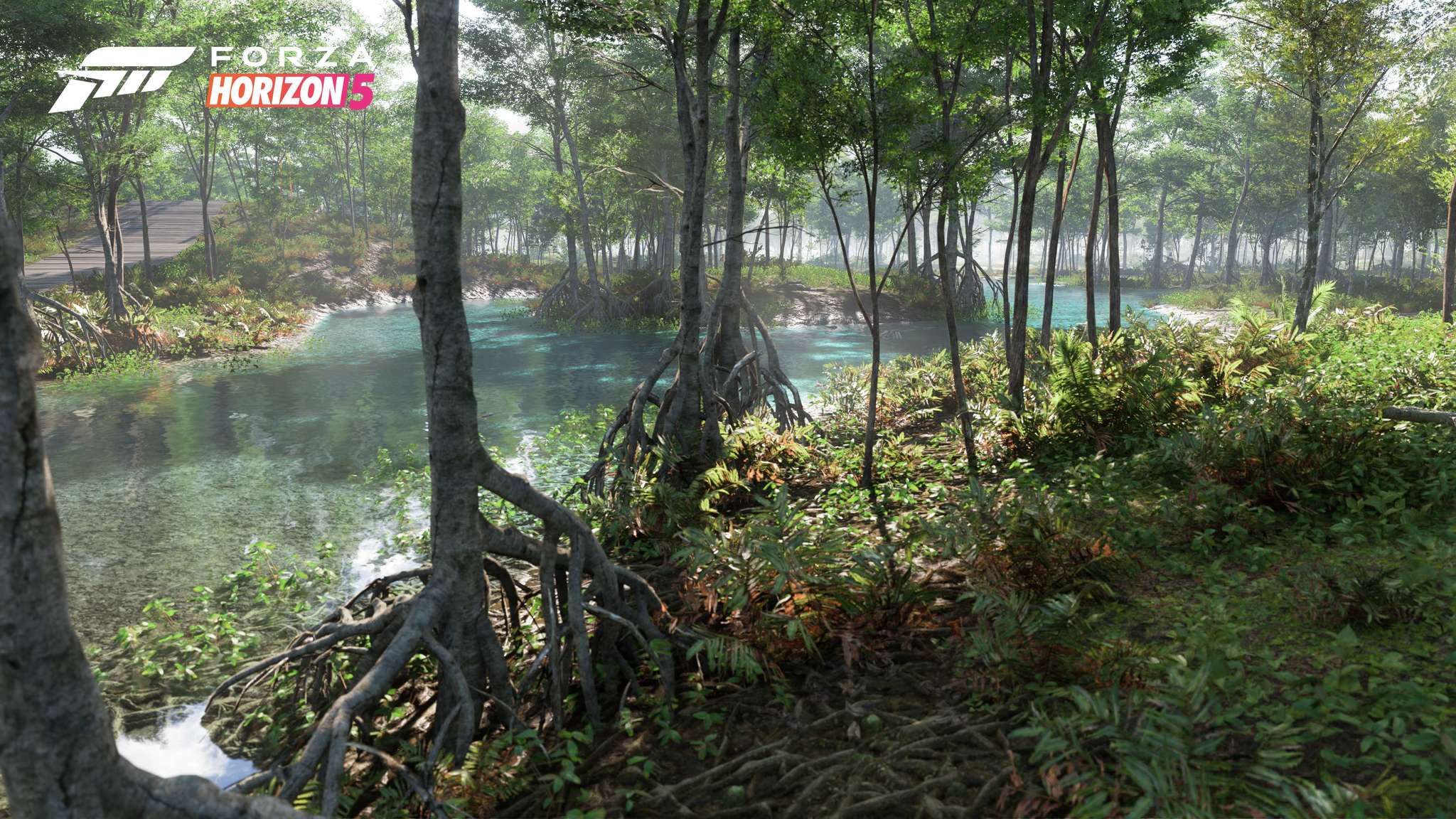 Forza Horizon 5 Biome Screenshot Swamp