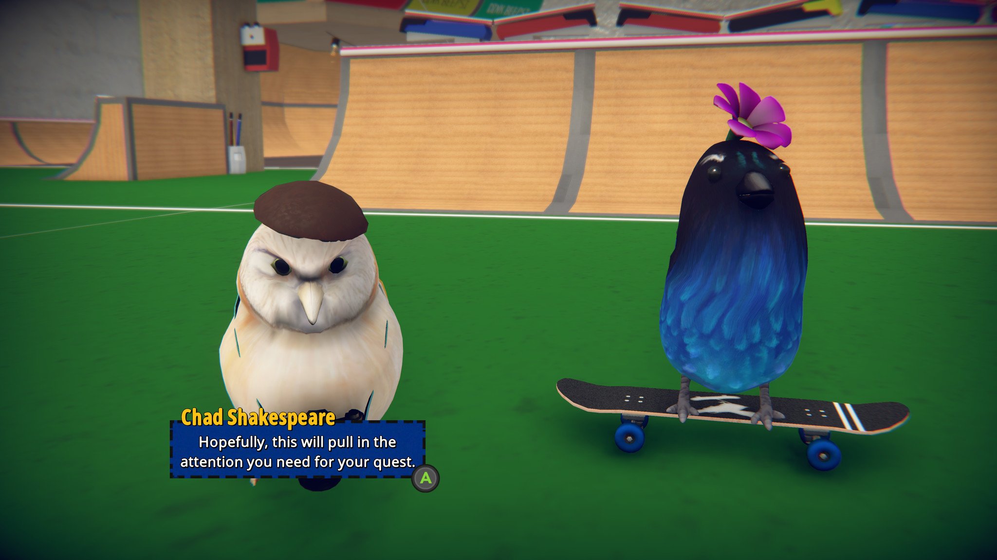 SkateBIRD Screenshot