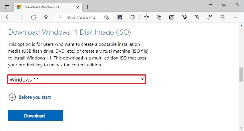 Windows 11 ISO download option