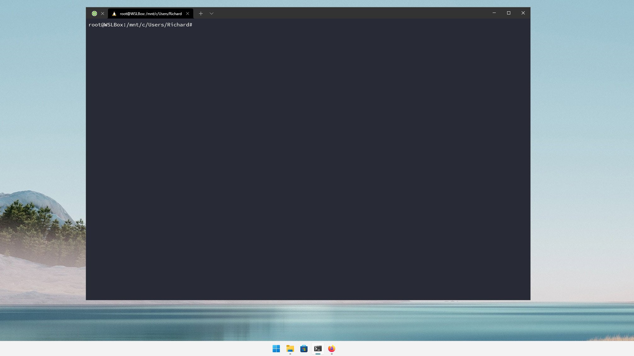 Linux Mint on WSL