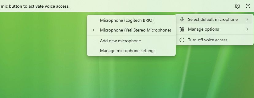 Voice access microphone options