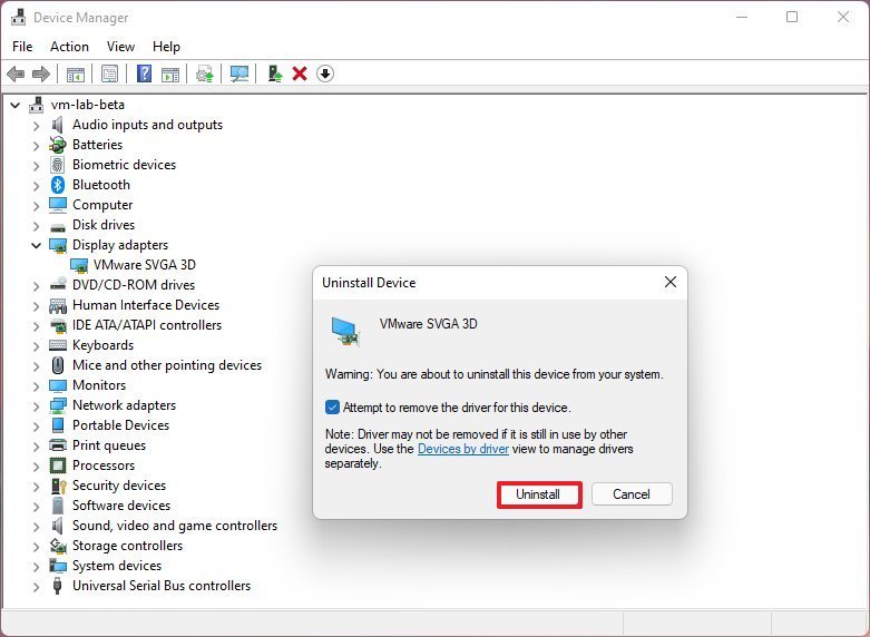Remove video driver on Windows 11