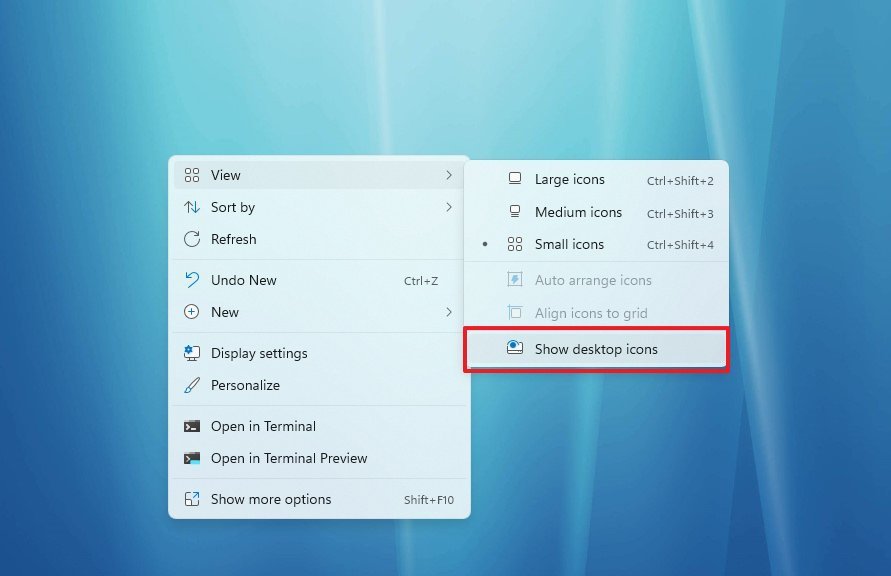 Hide desktop icons on Windows 11