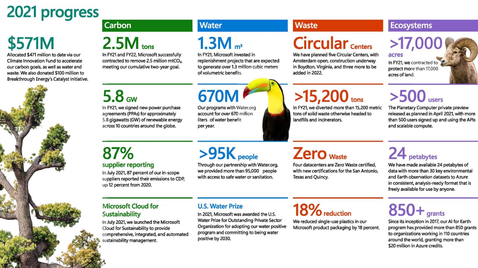 Microsoft Sustainability Infographic