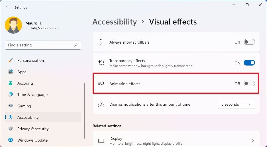 Windows 11 disable animations