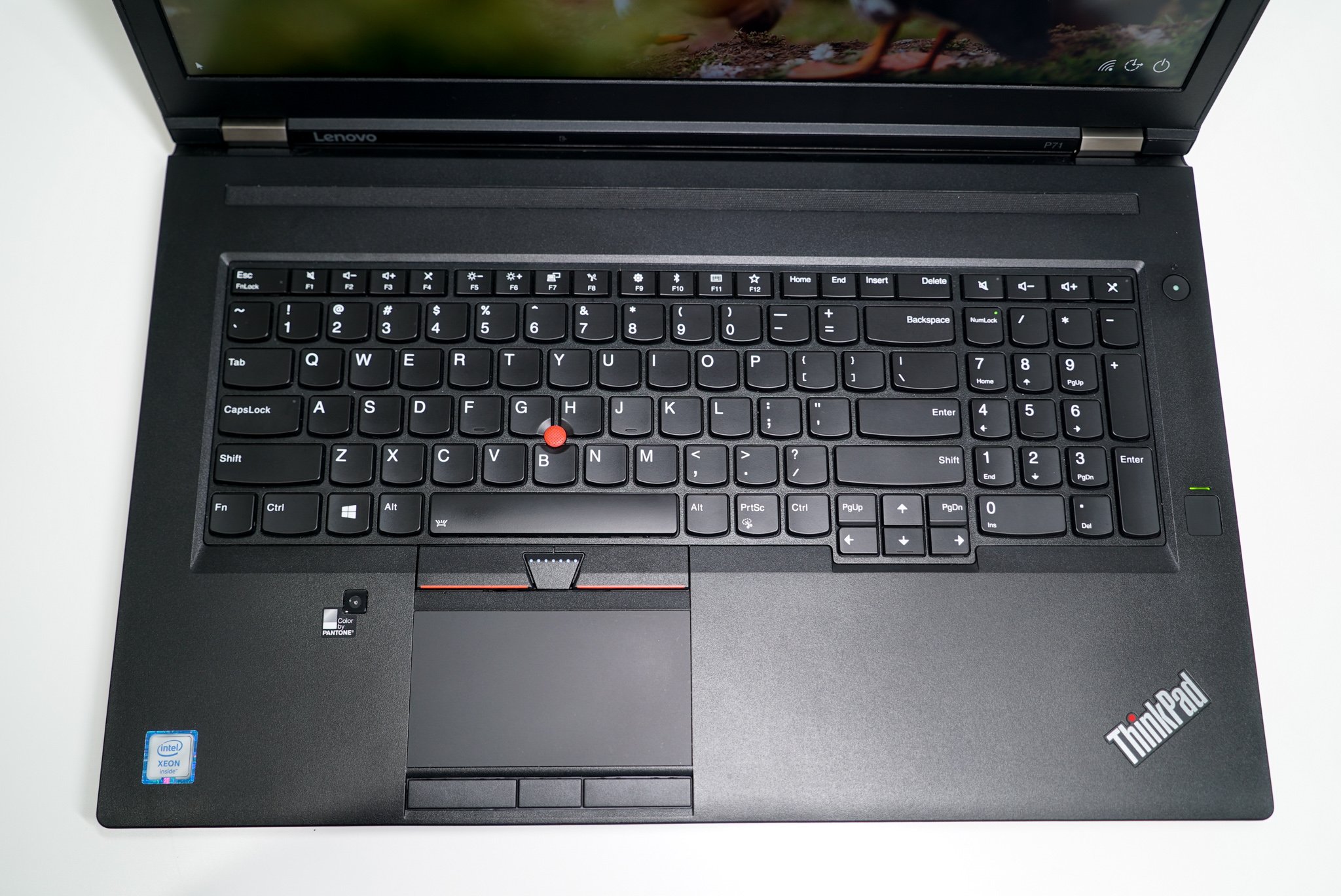 Lenovo ThinkPad P71 review: A massive laptop with specs to match 
