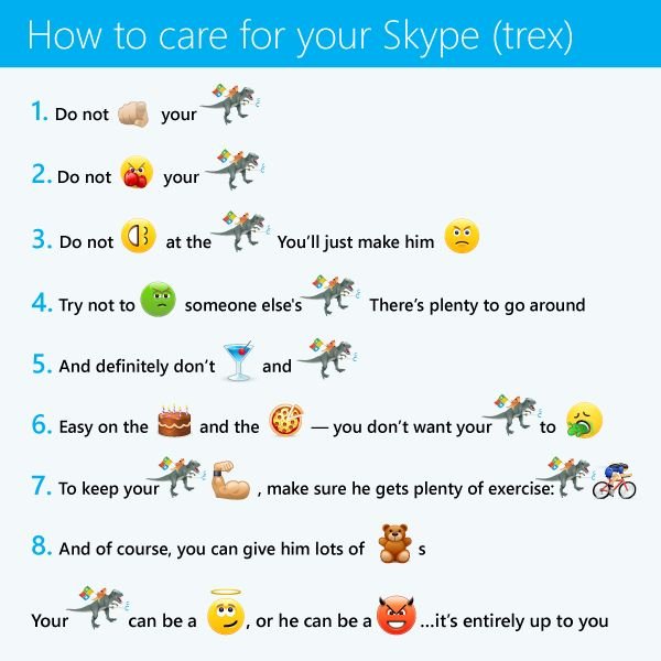 Skype Ninjacat