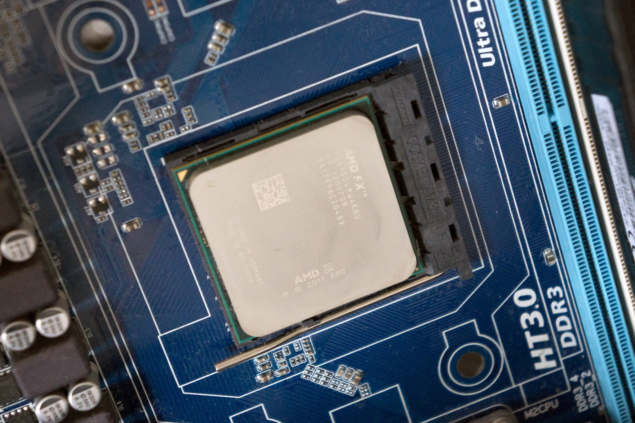Chime in: Do you prefer AMD or Intel for your CPU? AMD or NVIDIA for