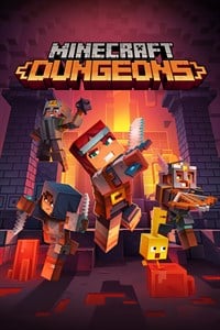 Minecraft Dungeons Recognition Box
