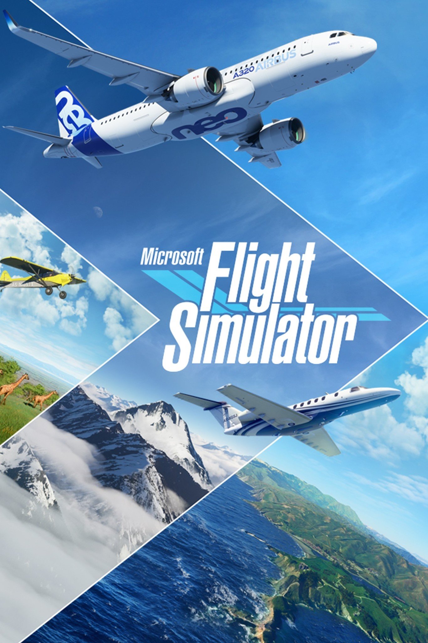 Microsoft Flight Simulator 2020 Box Art