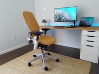 If your back hurts, you likely don't own one of these awesome office chairs