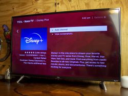 Yes, can get Disney+ on Roku devices