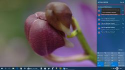 Windows 10 update may bring revamped UI for Action Center