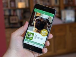 Microsoft's new iPhone app, Fetch!, is for the dogs